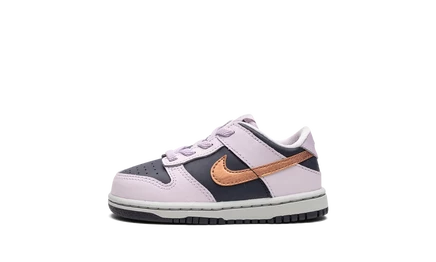 Детские кроссовки Nike Dunk Low TD DX1665 «Copper Swoosh»