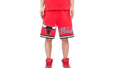 Мужские шорты Pro Standard NBA Chicago Bulls Pro Team, красные