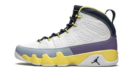 Женские кроссовки Jordan Air Jordan 9 Retro Change The World