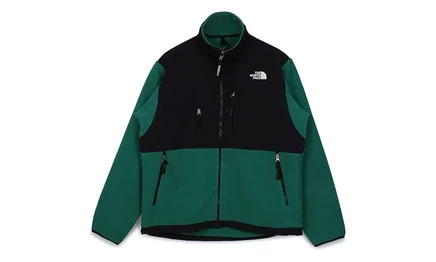Куртка The North Face 95 Retro Denali, зеленая