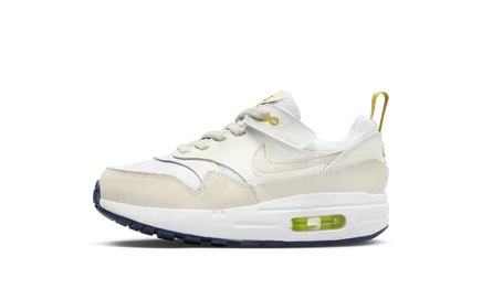 Кроссовки Nike Air Max 1 EasyOn, многоцветные