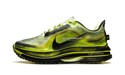 Женские кроссовки Nike Air Zoom Pegasus Premium