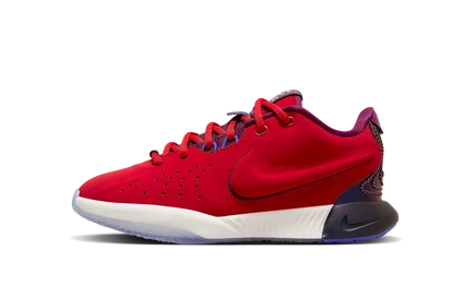 Детские кроссовки Nike LeBron 21 FN4305 James Theater
