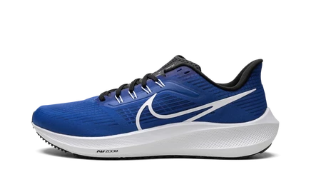 Кроссовки Nike Pegasus 39, синие