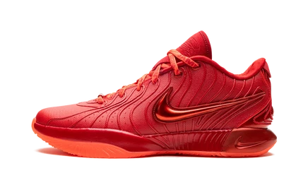 Кроссовки Nike LeBron 21 James Gang