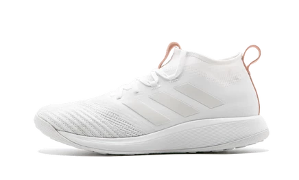 Кроссовки Adidas Ace 17+ Kith TR