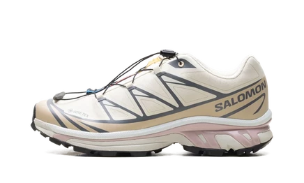 Кроссовки Salomon XT-6 GTX «Almond Milk Mauve»