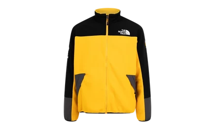 Куртка флисовая Supreme TNF RTG SS20