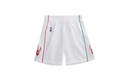 Шорты Mitchell & Ness Swingman NBA Raptors 07