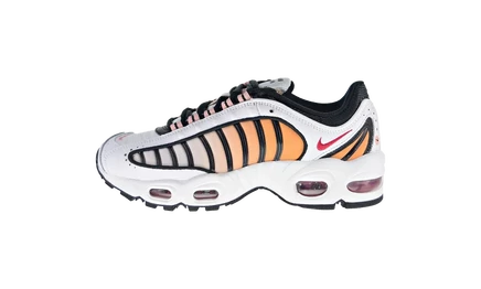 Женские кроссовки Nike Air Max Tailwind 4, многоцветные