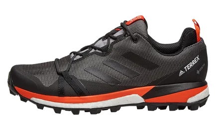 Кроссовки Adidas Terrex Skychaser LT GTX, черные