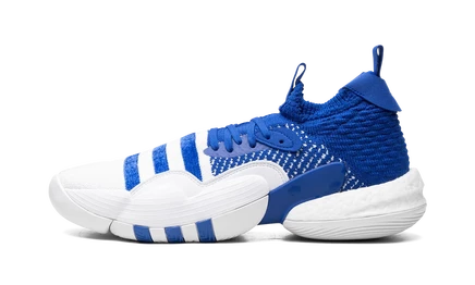 Кроссовки Adidas Trae Young 2.0 H03839, королевский синий