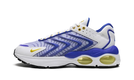 Кроссовки Nike Air Max TW DQ3984, синие