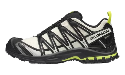 Мужские кроссовки Salomon XA Pro 3D GTX, черно-салатовые