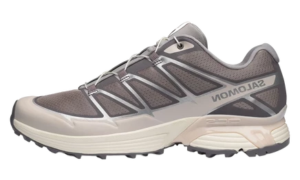 Мужские кроссовки Salomon XT-Pathway 2, серо-лиловые