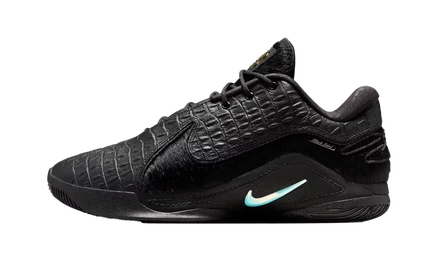 Кроссовки Nike LeBron 21 Black Label, черные