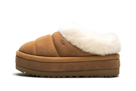Женская обувь Ugg Tazzlita вязаная с овчиной, каштановая