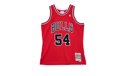 Джерси Mitchell & Ness Swingman Horace Grant 1990-91