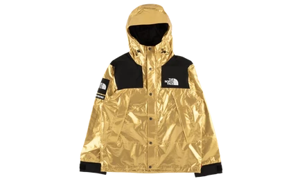 Парка Supreme TNF Metallic Mountain SS18