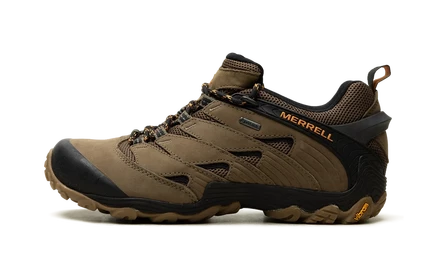 Треккинговые кроссовки Merrell Cham 7 GTX, пыльно-оливковый