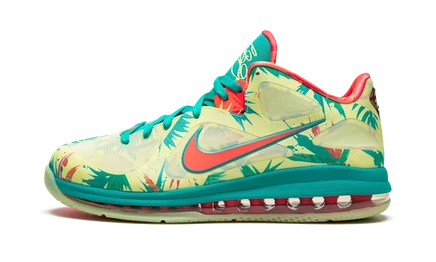 Кроссовки Nike LeBron 9 Low DO9355 «LeBronald Palmer»