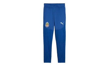 Женские брюки Puma CHG Pro без карманов, синие