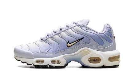 Женские кроссовки Nike Air Max Plus Daybreak