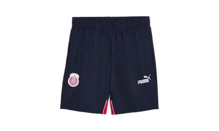 Шорты Puma CHG FTBLARCHIVE, синие