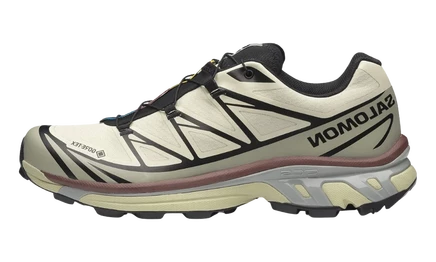 Мужские кроссовки Salomon XT-6 Gore-Tex, зелёные