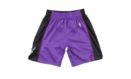 Шорты Mitchell & Ness NBA Authentic Road Raptors 99-00