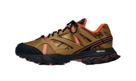Кроссовки Reebok DMX Trail Shadow «Eastlogue»