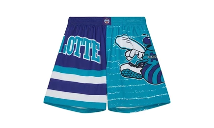Шорты Mitchell & Ness Jumbotron 3.0 NBA Hornets