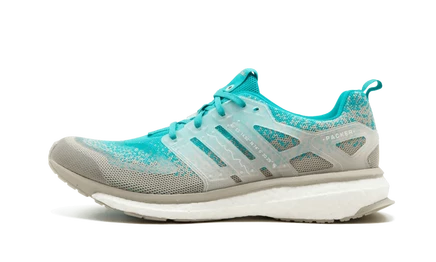 Кроссовки Adidas Energy Boost S.E.