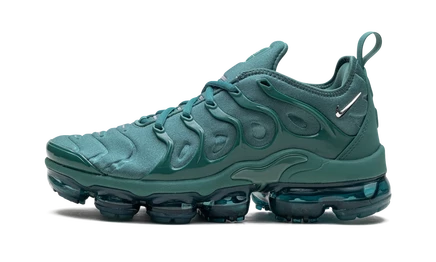 Женские кроссовки Nike Air Max VaporMax Plus Bicoastal