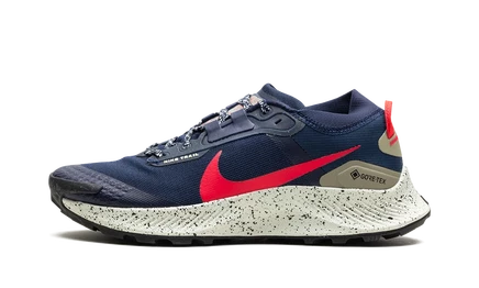 Кроссовки Nike Pegasus Trail 3 GTX с GORE-TEX