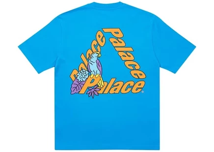 Мужская футболка Palace Parrot Palace-3, синяя