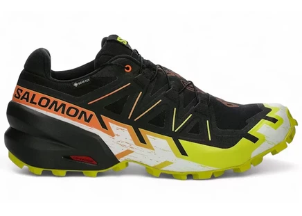 Мужские кроссовки Salomon Speedcross 6 Gore-Tex, черные