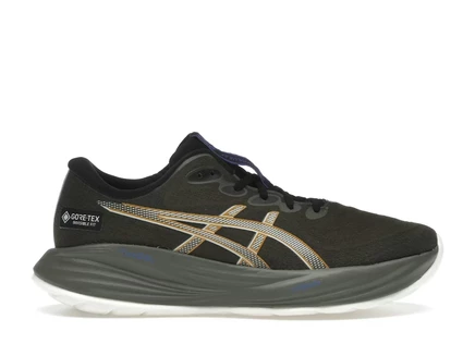 Мужские кроссовки Asics Gel-Cumulus 27 Gore-Tex, коричневые/светло-зеленые