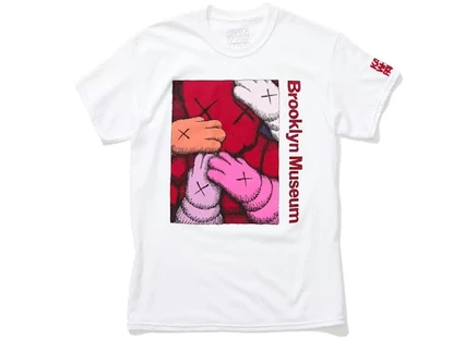 Мужская футболка kaws brooklyn museum urge, белая