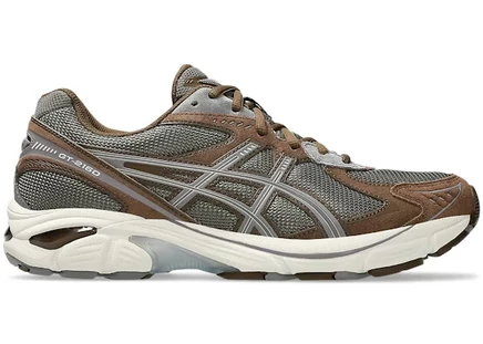 Мужские кроссовки Asics GT-2160, темно-тауп/глиняно-серые