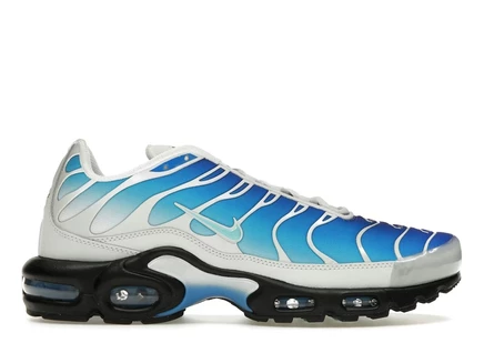 Мужские кроссовки Nike Air Max Plus One Block Down, light photo blue