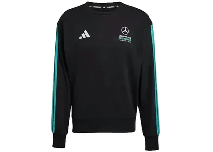 Мужской свитшот Adidas Mercedes-AMG Petronas Team DNA, черно-мятный