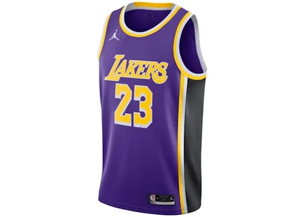 Мужская майка Nike Lakers LeBron Statement Edition 2020, фиолетово-желтая