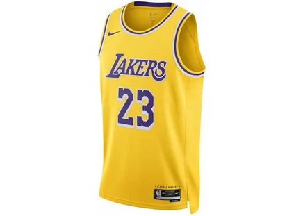 Мужская майка Nike LeBron Lakers Icon 2022/23, желтая