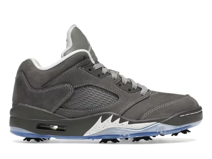 Мужские кроссовки Jordan Air Jordan 5 Golf Low, серые/голубые