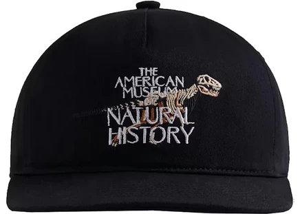 Мужская кепка KITH AMNH Fossil, черная