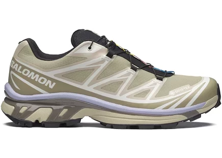 Salomon XT-6 Gore-Tex Eucalyptus Sage Cosmic Sky eucalyptus/silver sage/cosmic sky