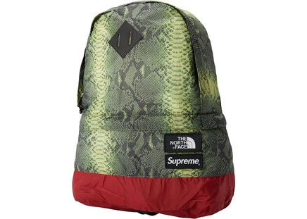 Supreme The North Face Snakeskin Lightweight Day Pack Green green