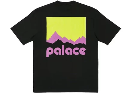 Мужская футболка Palace Berghaus, черная