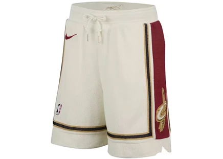 Мужские шорты Nike LeBron James Dri-FIT NBA, мультиколор